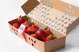 Home Berry Box - hausgemachte Erdbeeren - test - bestellen - Amazon 