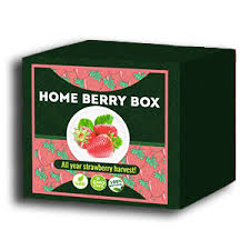 Home Berry Box - Deutschland - Inhaltsstoffe - Unterricht