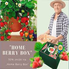 Home Berry Box - hausgemachte Erdbeeren - Bewertung - kaufen - Erfahrungen 