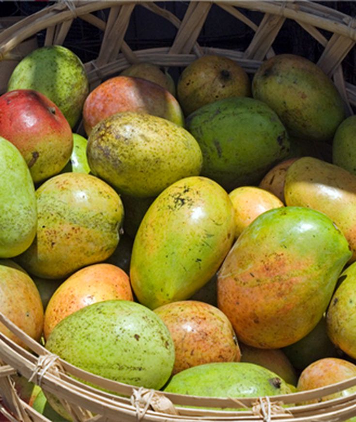 African Mango Go - bei DM - in Deutschland - in Hersteller-Website - kaufen - in Apotheke